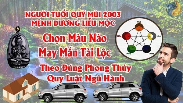 Tuổi Quý Mùi 2003 Hợp Màu Gì ? Chọn Màu Xe , Sơn Nhà , Vòng Tay Màu Nào Tốt Nhất