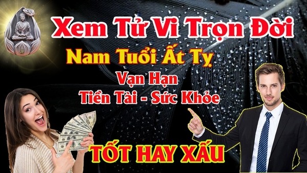Xem tử vi trọn đời nam tuổi ất tỵ 1965 Giải Mã Vận Mệnh